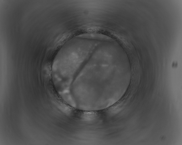 X0000091210240200708231615