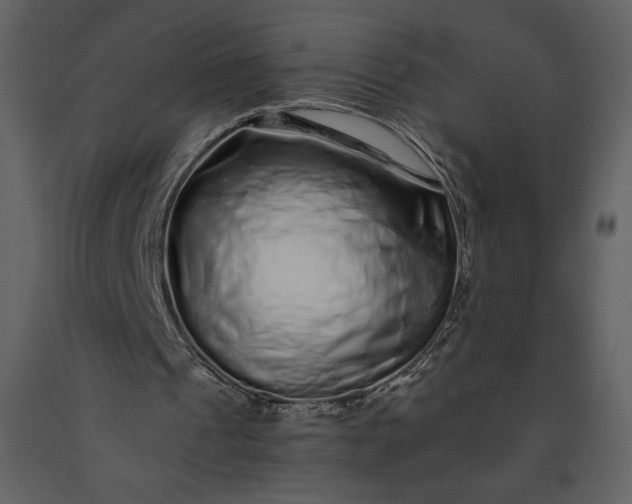 X0000091210241200708231614