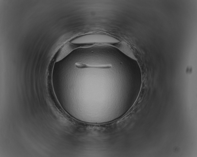 X0000091210242200708231614