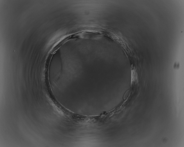 X0000091210243200708231614