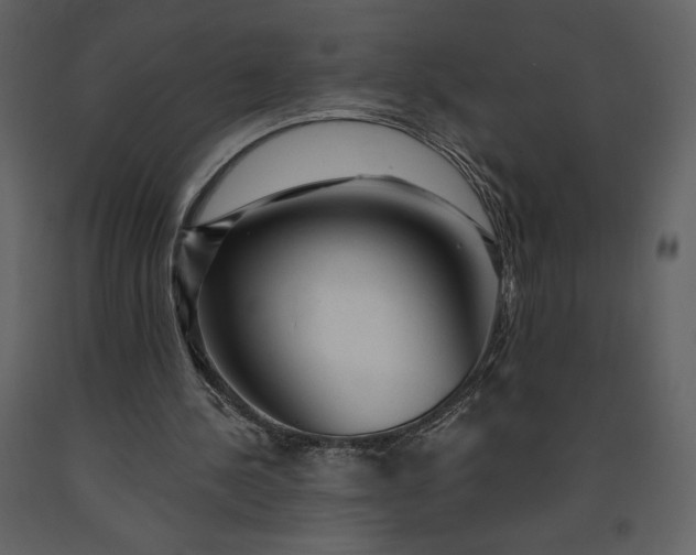 X0000091210244200708231614