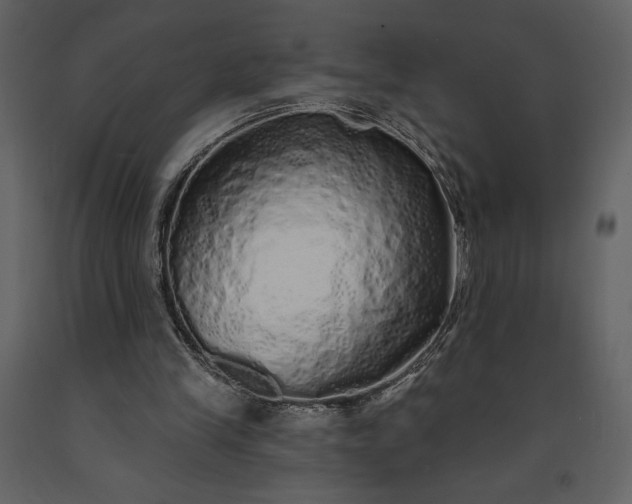 X0000091210245200708231614