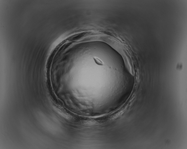 X0000091210246200708231614