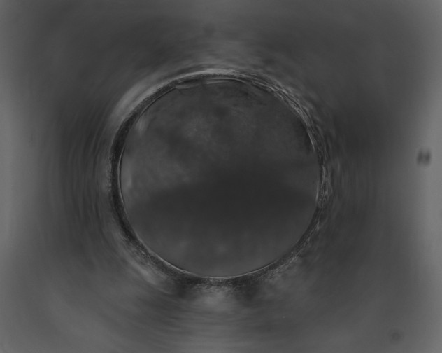 X0000091210247200708231614