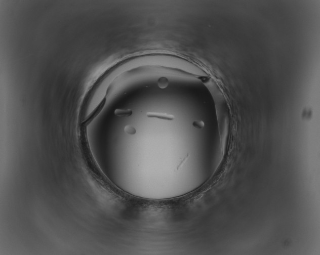 X0000091210248200708231614