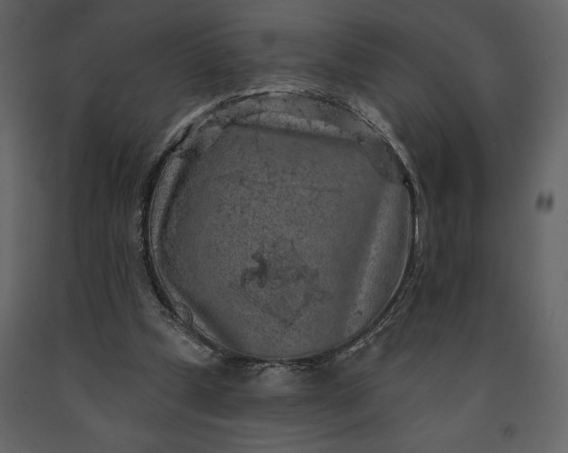 X0000091210249200708231614