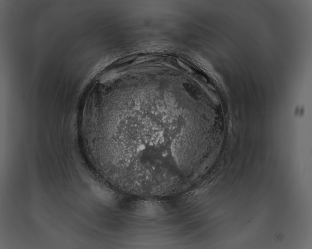 X0000091210250200708231614