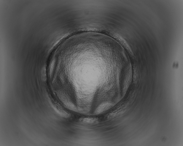 X0000091210251200708231614