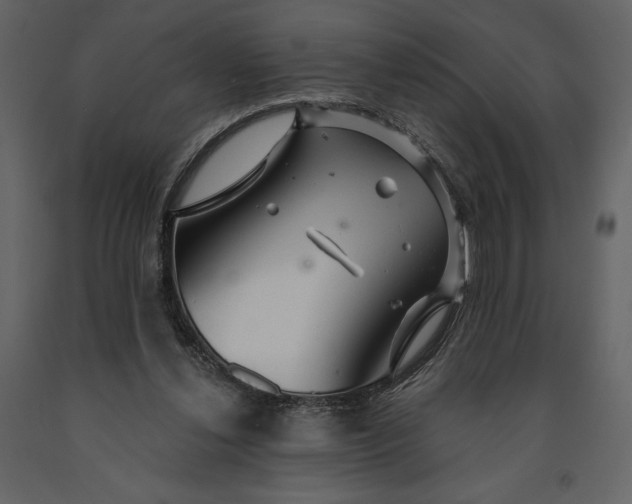 X0000091210252200708231614