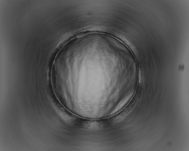 X0000091210253200708231614