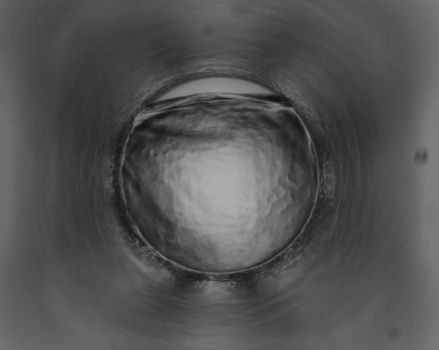 X0000091210255200708231614