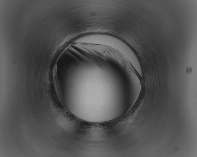 X0000091210256200708231614