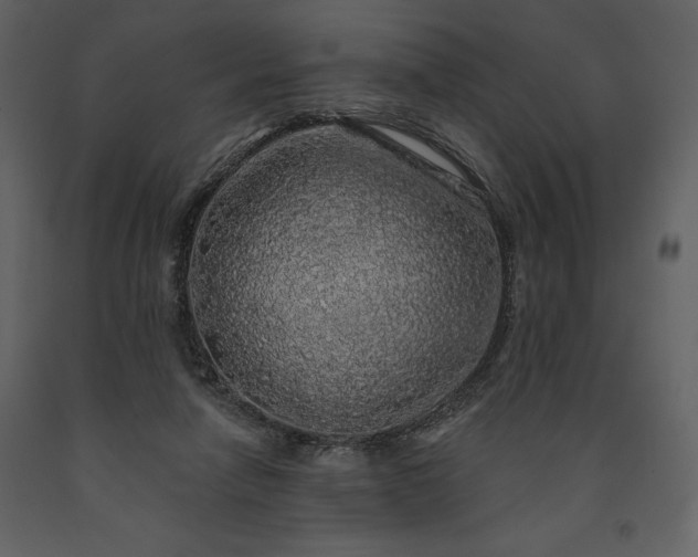 X0000091210258200708231614