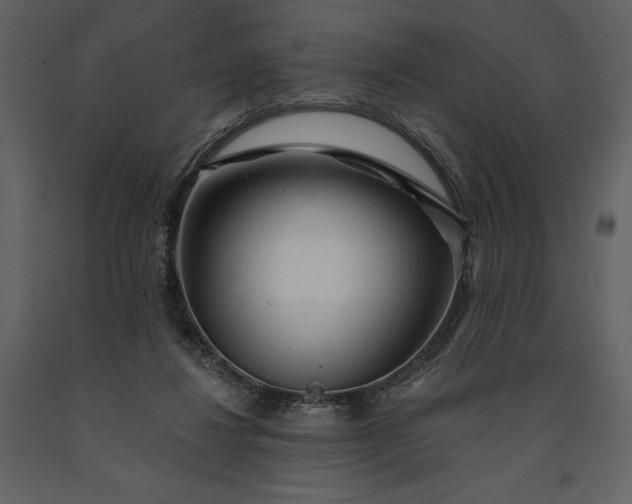 X0000091210260200708231614