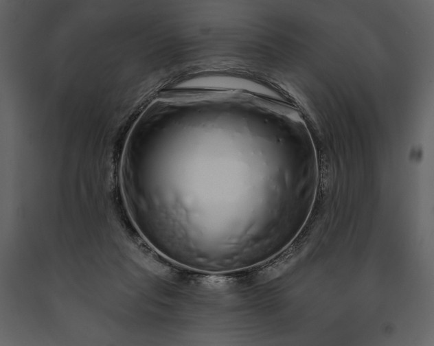 X0000091210261200708231614