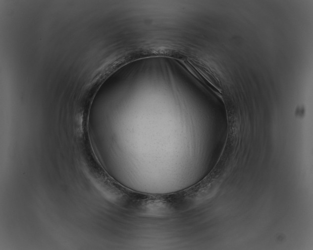 X0000091210262200708231614