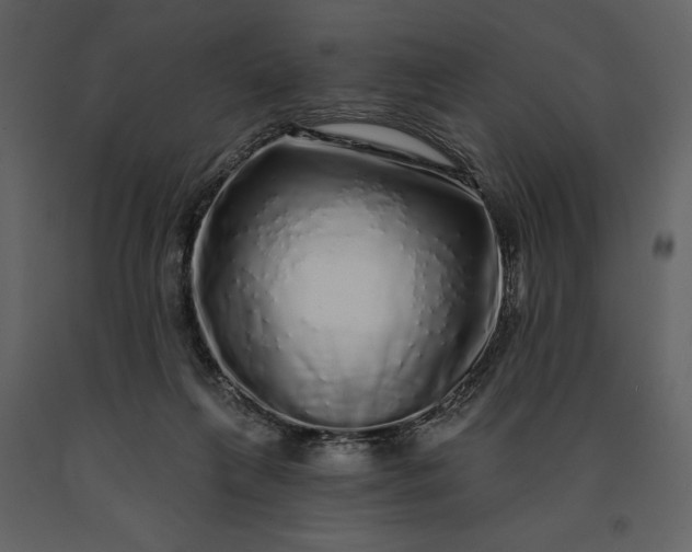 X0000091210263200708231614