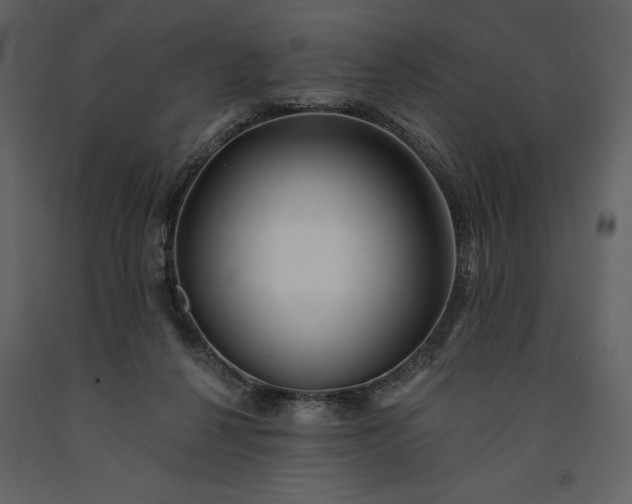 X0000091210264200708231614