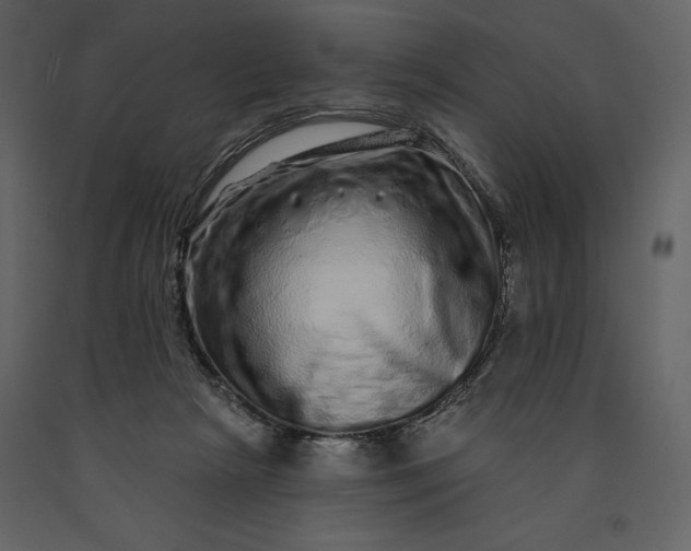 X0000091210265200708231614