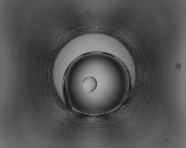 X0000091210268200708231614