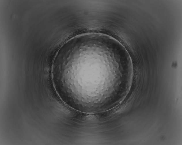 X0000091210269200708231614