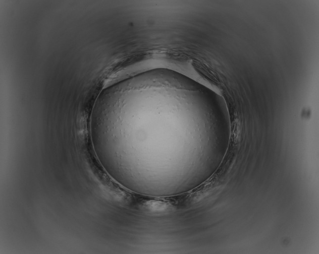 X0000091210272200708231615