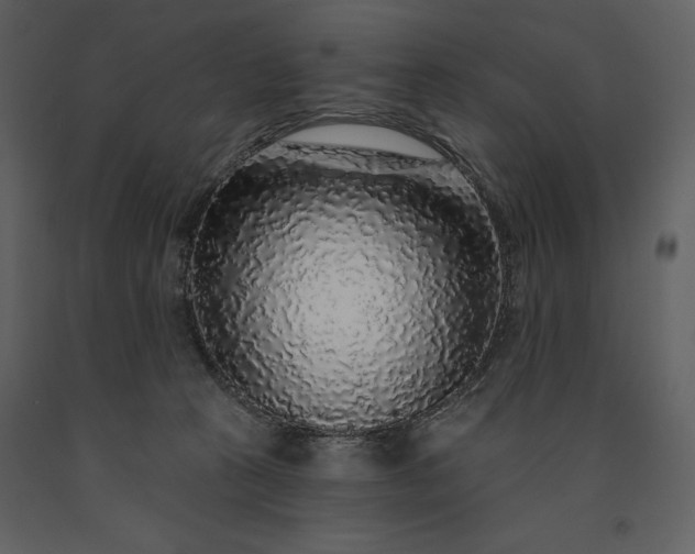 X0000091210273200708231615