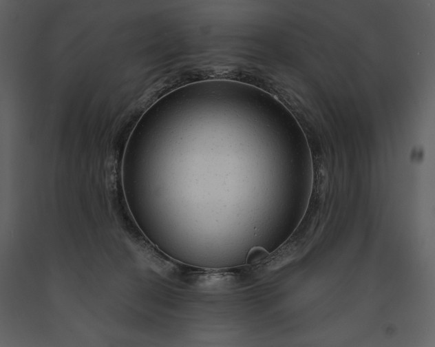 X0000091210274200708231615