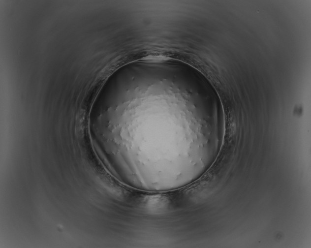 X0000091210275200708231615