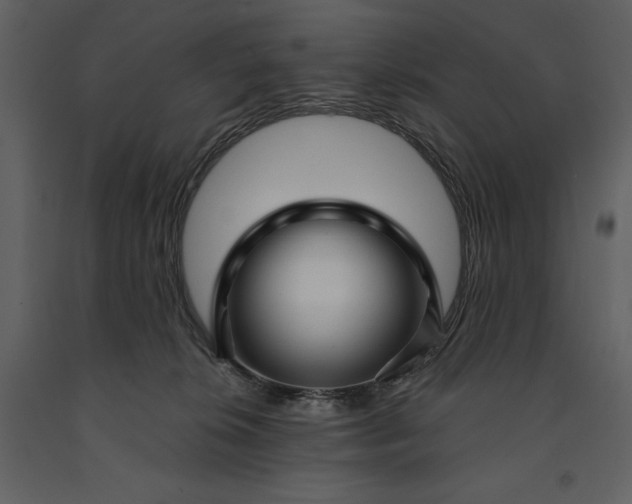 X0000091210276200708231615