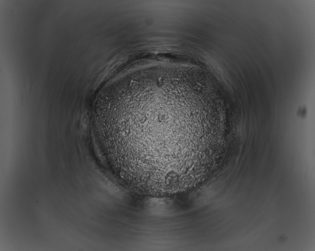 X0000091210277200708231615