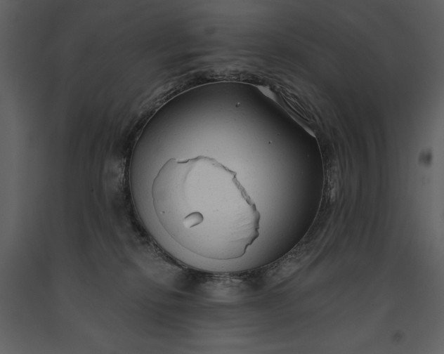 X0000091210278200708231615