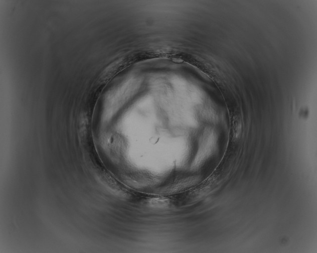 X0000091210279200708231615