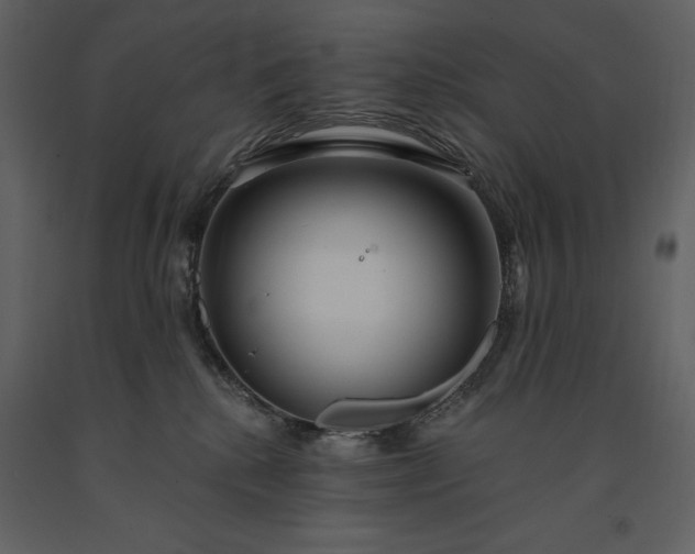 X0000091210280200708231615