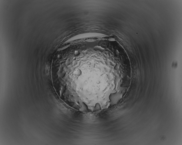 X0000091210281200708231615