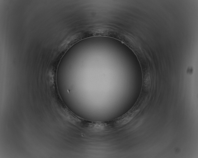 X0000091210282200708231615