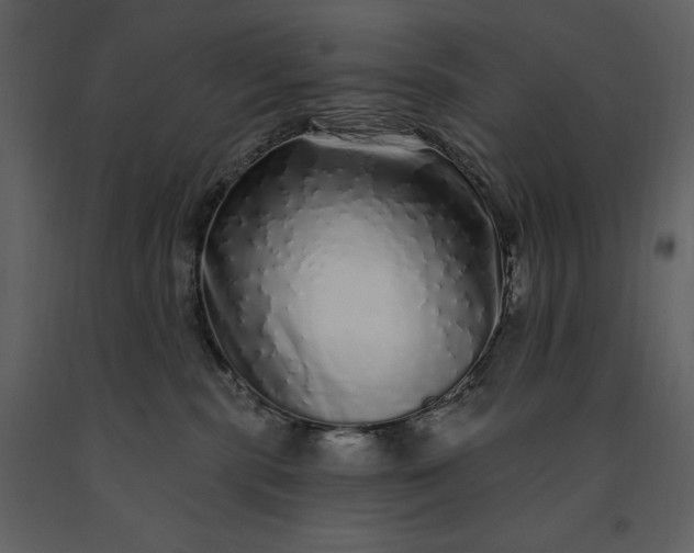 X0000091210283200708231615