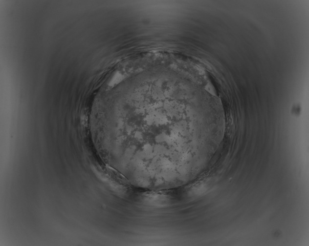 X0000091210284200708231615