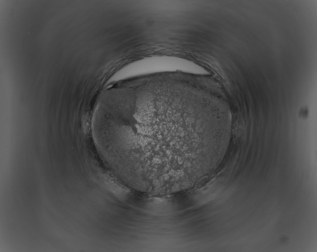 X0000091210285200708231615