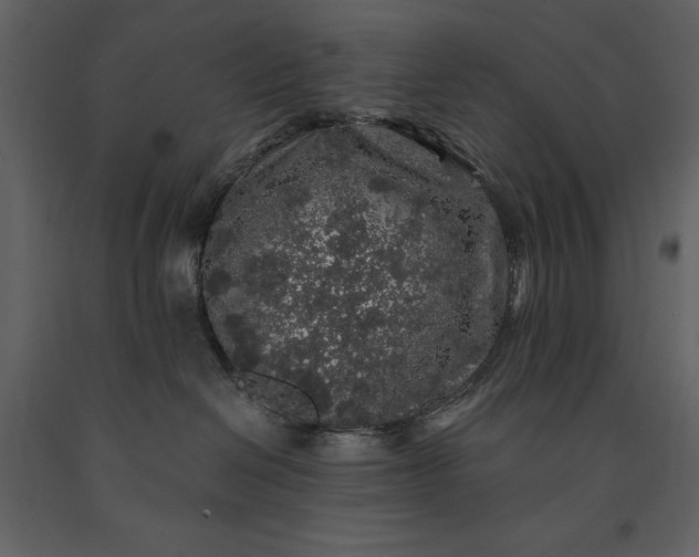 X0000091210286200708231615