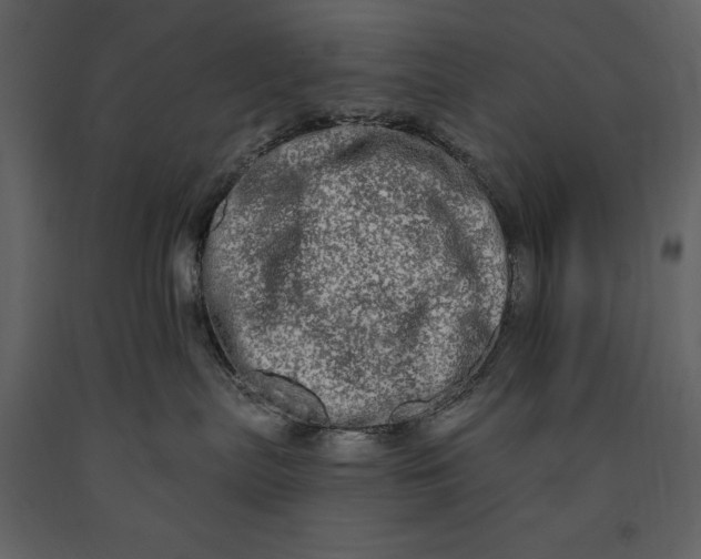 X0000091210287200708231615