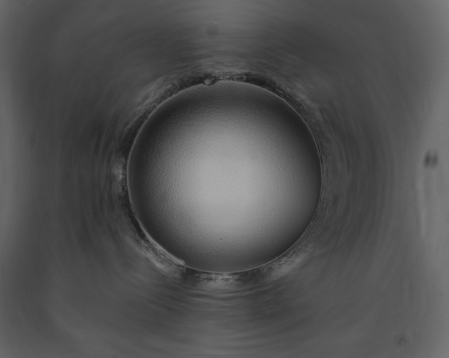 X0000091210288200708231615