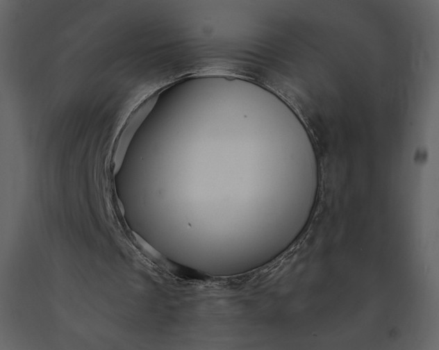 X0000091210289200708231614