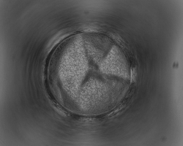 X0000091210291200708231614