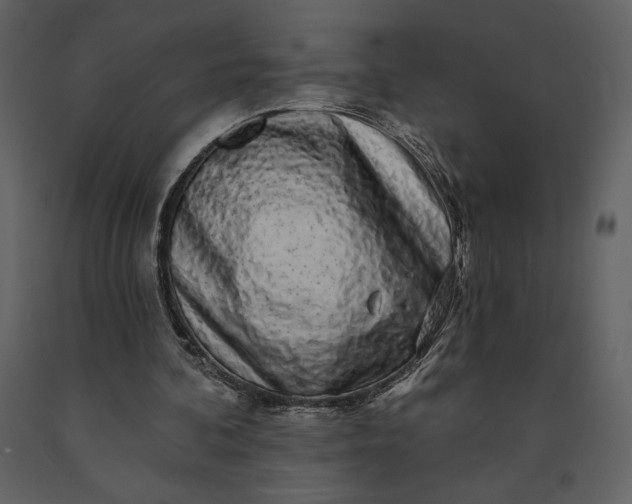 X0000091210292200708231614