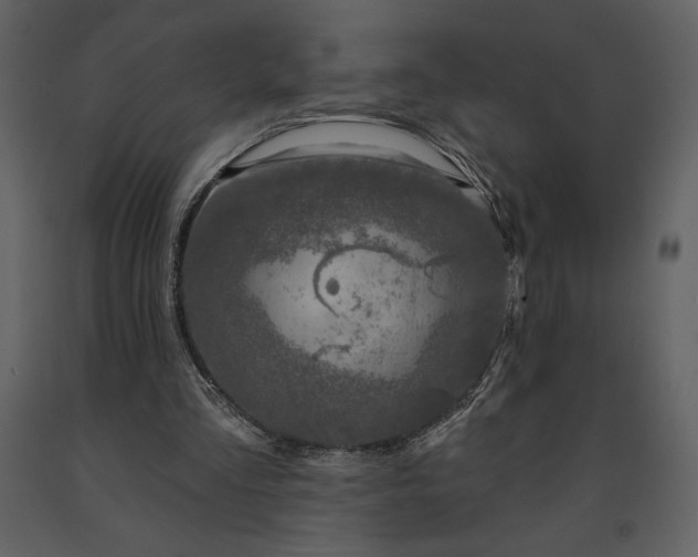 X0000091210293200708231614