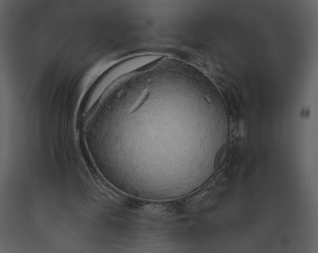 X0000091210294200708231614