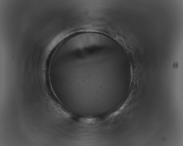 X0000091210295200708231614