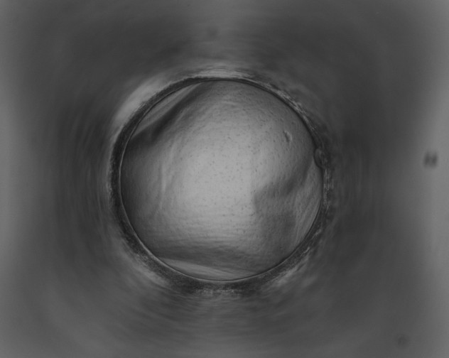 X0000091210296200708231614