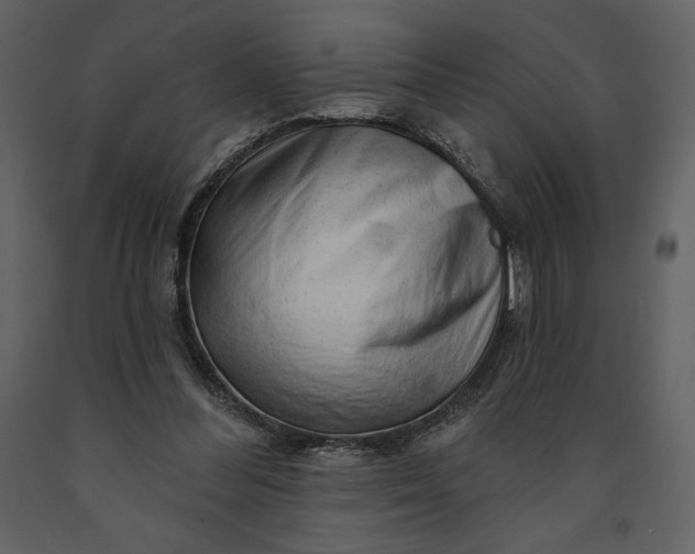 X0000091210300200708231614